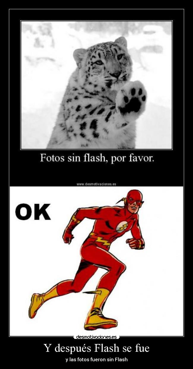 Y después Flash se fue -