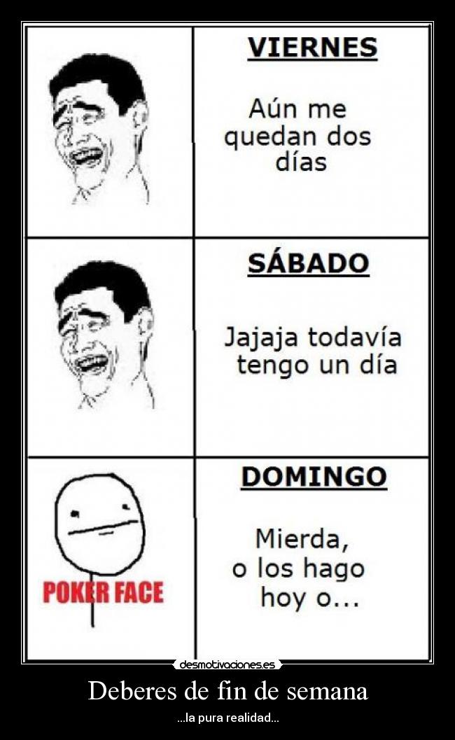 Deberes de fin de semana - ...la pura realidad...