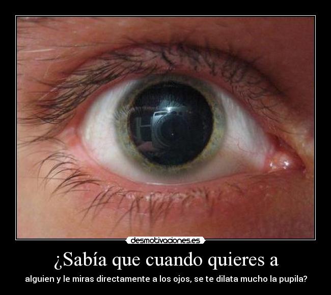 ¿Sabía que cuando quieres a - alguien y le miras directamente a los ojos, se te dilata mucho la pupila?