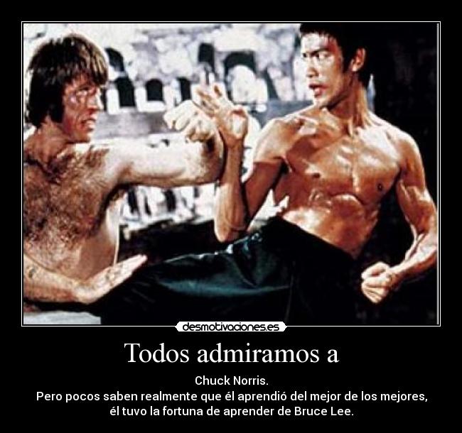 Todos admiramos a - Chuck Norris.
Pero pocos saben realmente que él aprendió del mejor de los mejores,
él tuvo la fortuna de aprender de Bruce Lee.