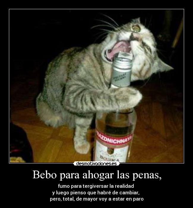 Bebo para ahogar las penas, - 