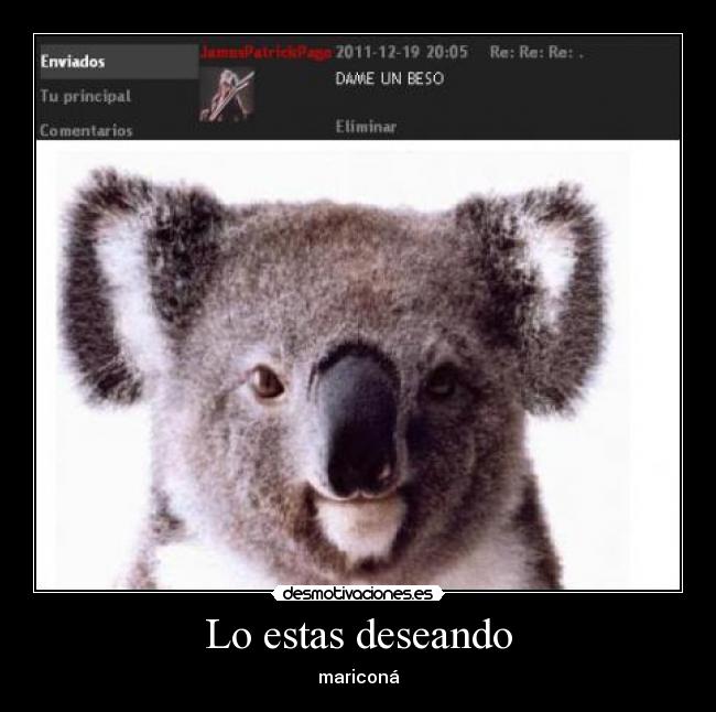 carteles kolangi for president clanng clantigretoneh desmotivaciones