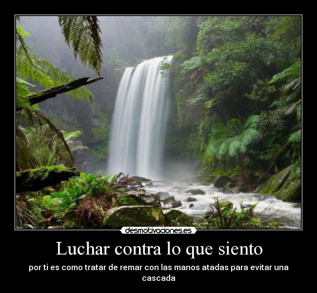 Luchar contra lo que siento - por ti es como tratar de remar con las manos atadas para evitar una cascada
