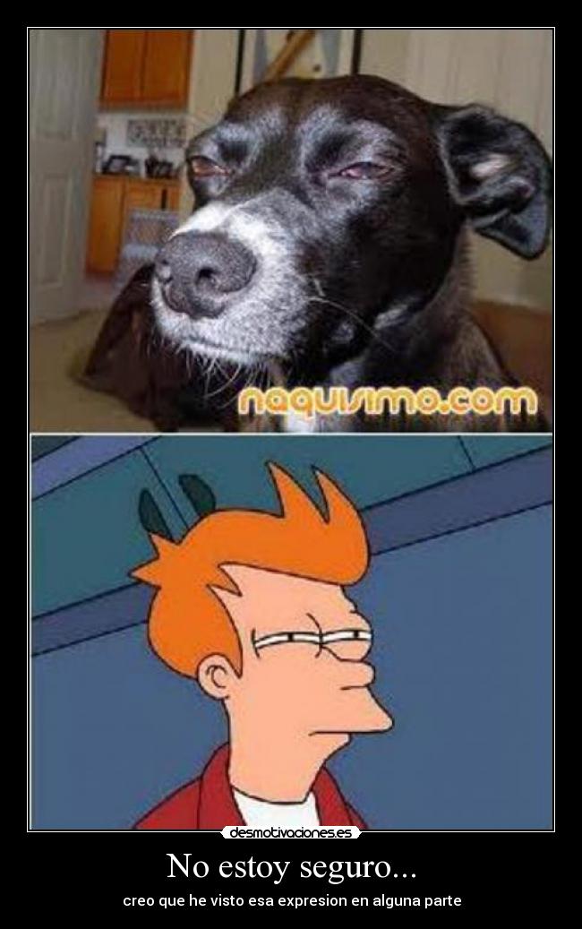 No estoy seguro... - 