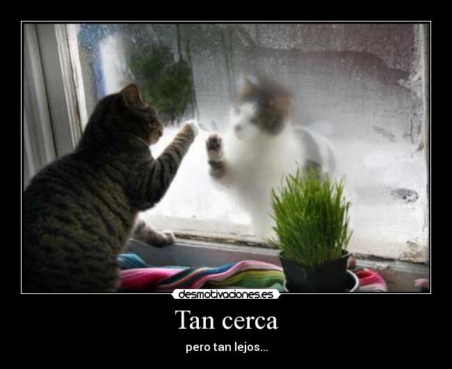 Tan cerca - 