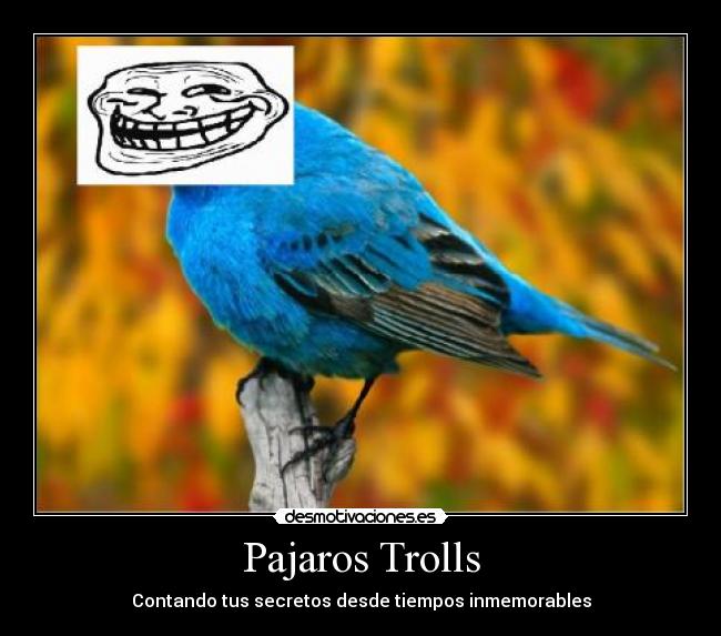 Pajaros Trolls - Contando tus secretos desde tiempos inmemorables