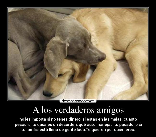 A los verdaderos amigos -