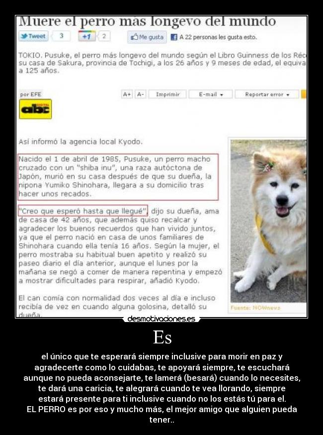Es - el único que te esperará siempre inclusive para morir en paz y
agradecerte como lo cuidabas, te apoyará siempre, te escuchará
aunque no pueda aconsejarte, te lamerá (besará) cuando lo necesites,
te dará una caricia, te alegrará cuando te vea llorando, siempre
estará presente para ti inclusive cuando no los estás tú para el.
EL PERRO es por eso y mucho más, el mejor amigo que alguien pueda
tener..