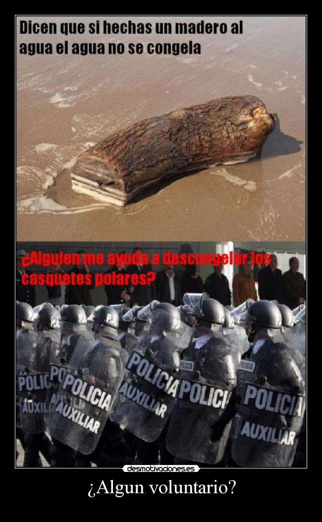 ¿Algun voluntario? -