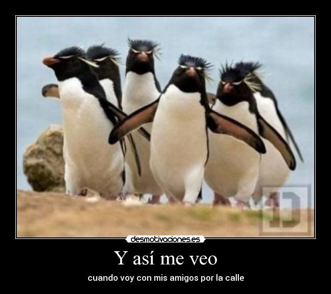 Y así me veo - cuando voy con mis amigos por la calle
