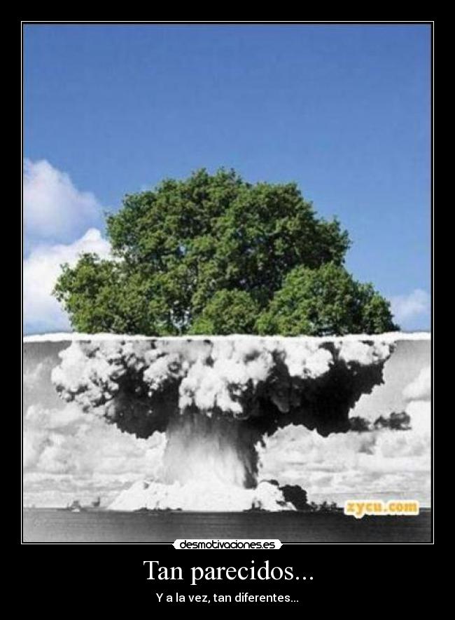 Tan parecidos... - Y a la vez, tan diferentes...
