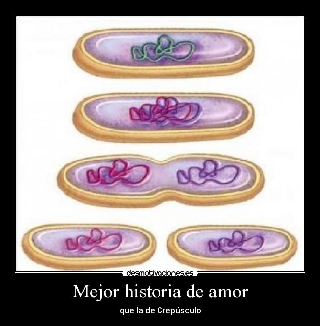 Mejor historia de amor -