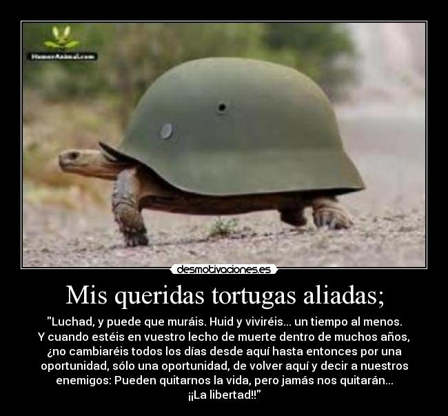 Mis queridas tortugas aliadas; - Luchad, y puede que muráis. Huid y viviréis... un tiempo al menos.
Y cuando estéis en vuestro lecho de muerte dentro de muchos años,
¿no cambiaréis todos los días desde aquí hasta entonces por una
oportunidad, sólo una oportunidad, de volver aquí y decir a nuestros
enemigos: Pueden quitarnos la vida, pero jamás nos quitarán...
¡¡La libertad!!
