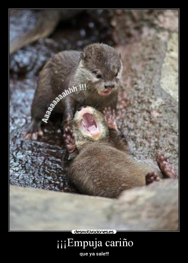 ¡¡¡Empuja cariño - 