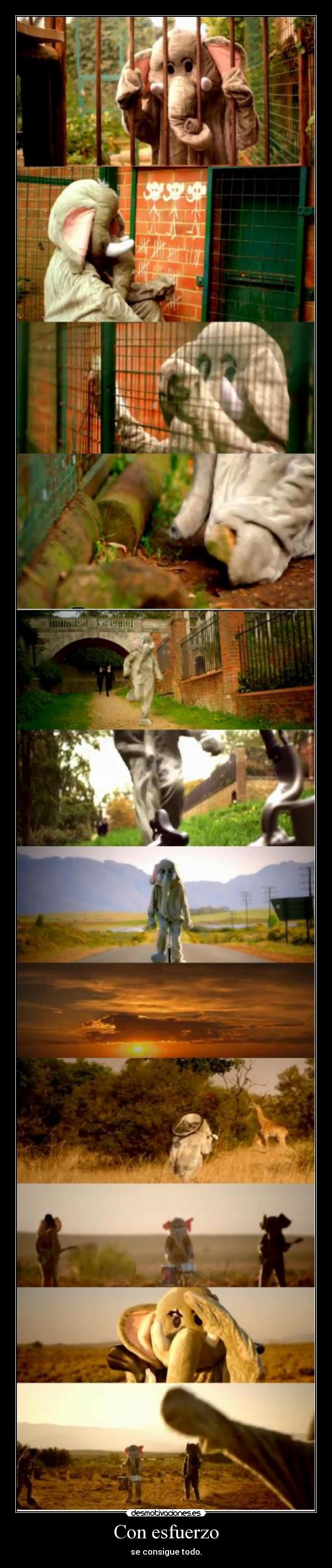 Con esfuerzo - se consigue todo.