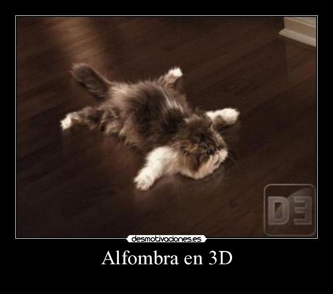 Alfombra en 3D -
