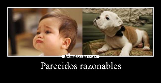 Parecidos razonables -