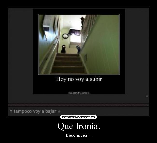 Que Ironía. - Descripción...