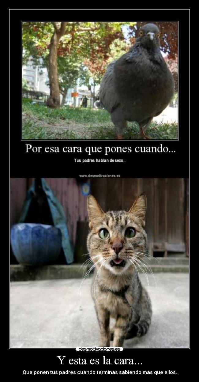 Y esta es la cara... - Que ponen tus padres cuando terminas sabiendo mas que ellos.