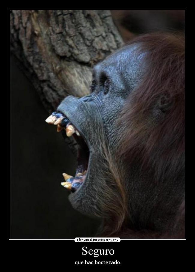 Seguro - que has bostezado.