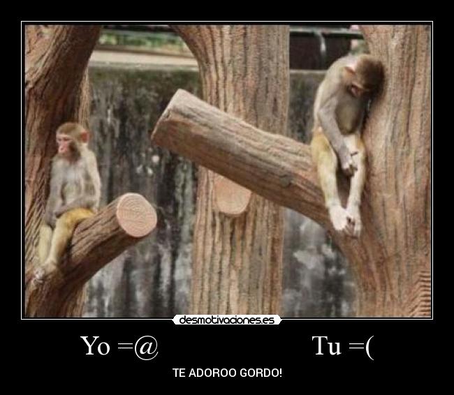 carteles desmotivaciones