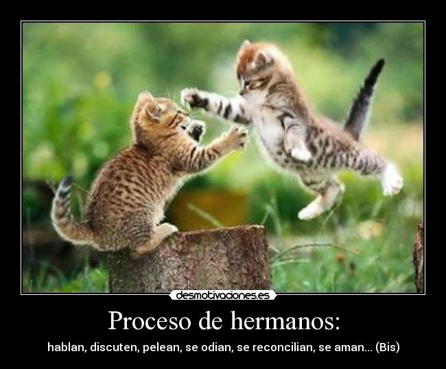Proceso de hermanos: -