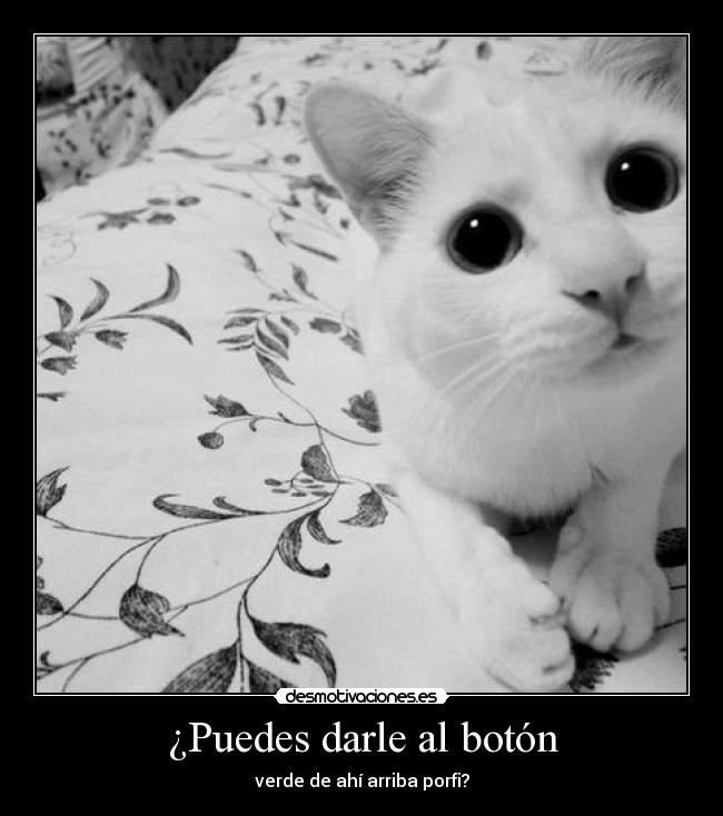 ¿Puedes darle al botón -