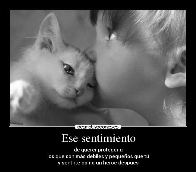 Ese sentimiento -