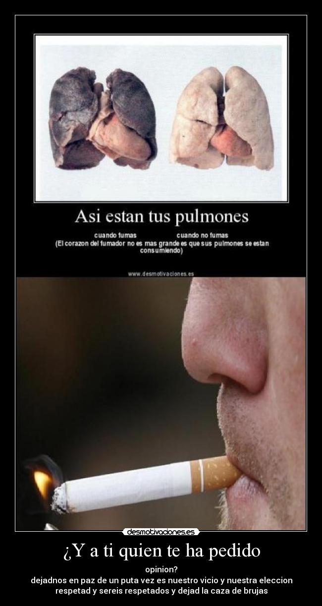 ¿Y a ti quien te ha pedido - 