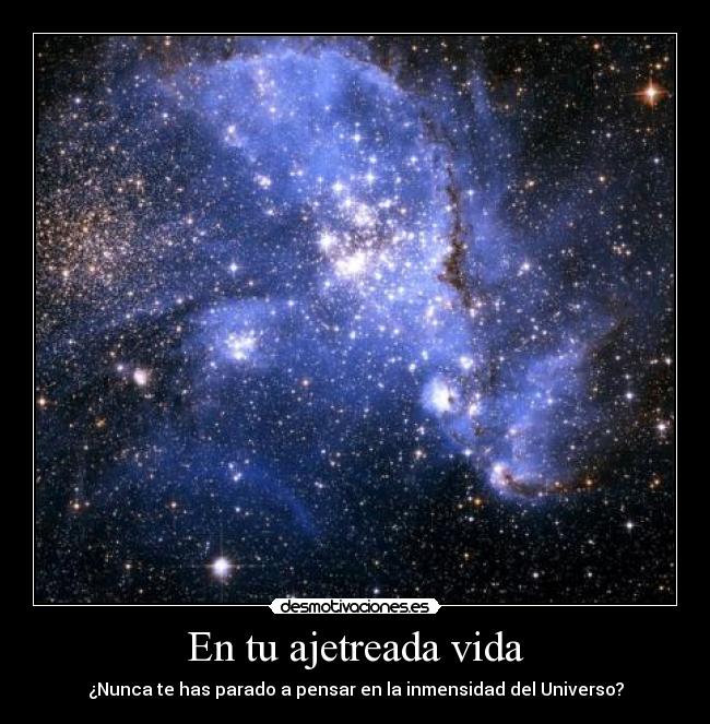 carteles vida bellum veritatis desmotivaciones