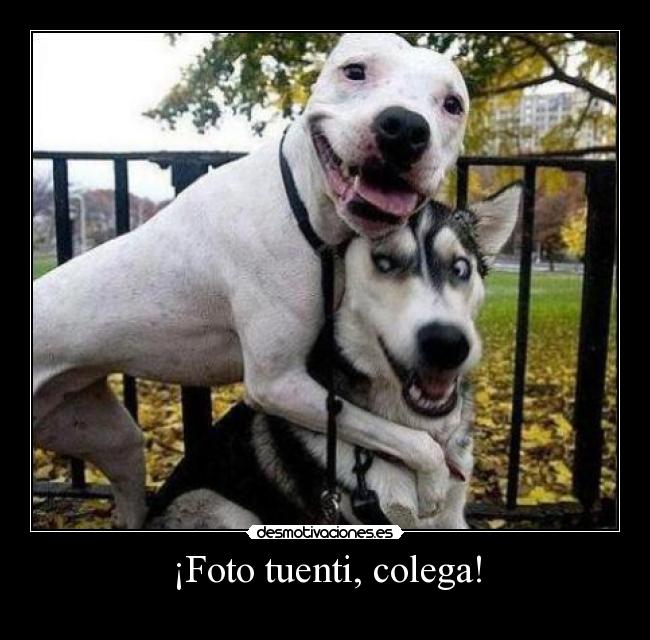 ¡Foto tuenti, colega! - 