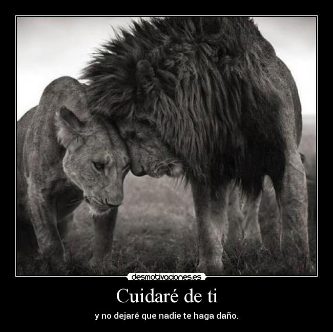 Cuidaré de ti - 
