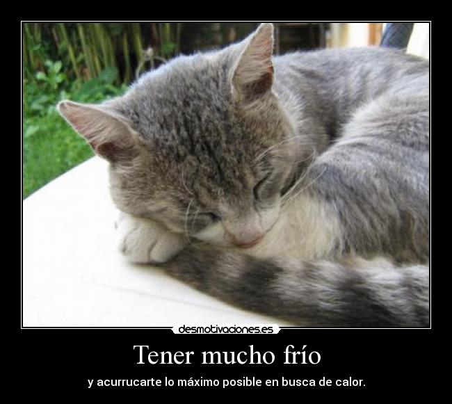 Tener mucho frío -