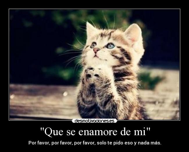 Que se enamore de mi - Por favor, por favor, por favor, solo te pido eso y nada más.