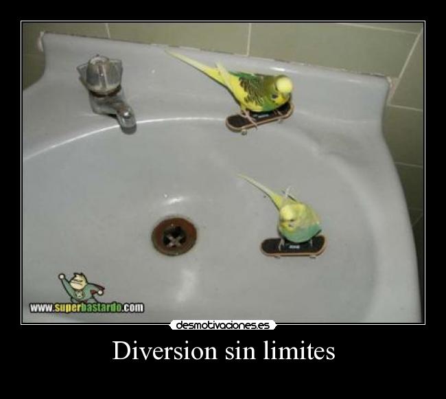 Diversion sin limites - 