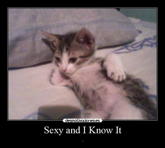 Sexy and I Know It -
