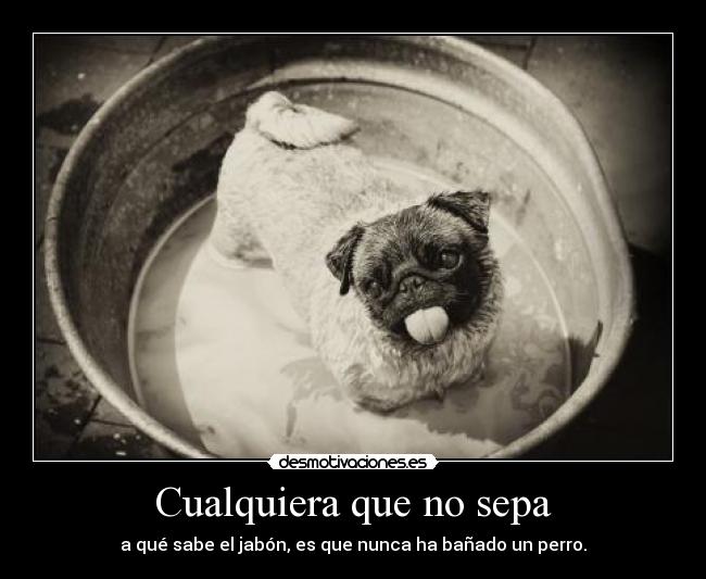 Cualquiera que no sepa - 