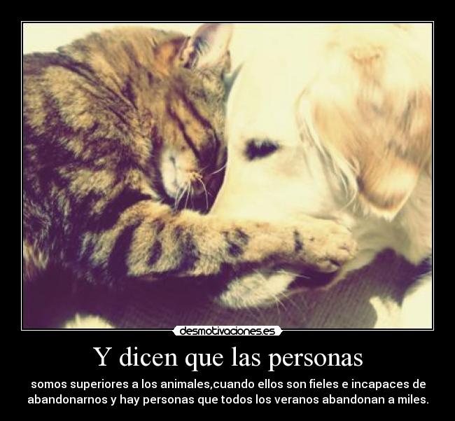 Y dicen que las personas - 