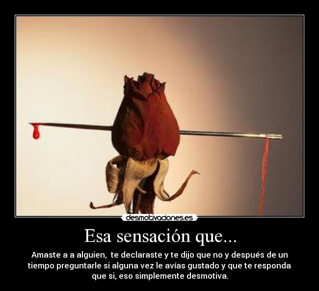 Esa sensación que... - Amaste a a alguien, te declaraste y te dijo que no y después de un
tiempo preguntarle si alguna vez le avías gustado y que te responda
que si, eso simplemente desmotiva.