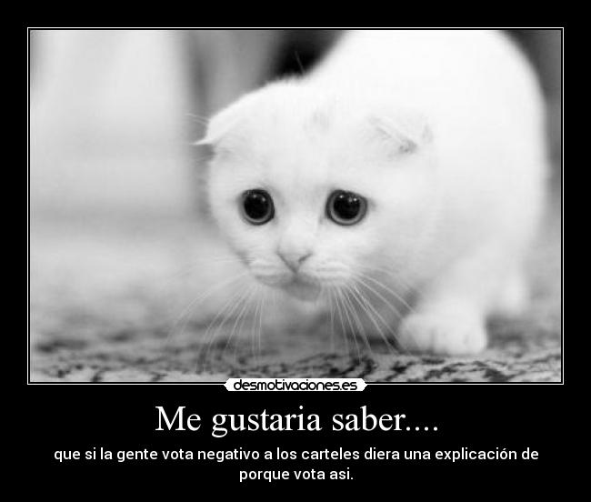 Me gustaria saber.... -