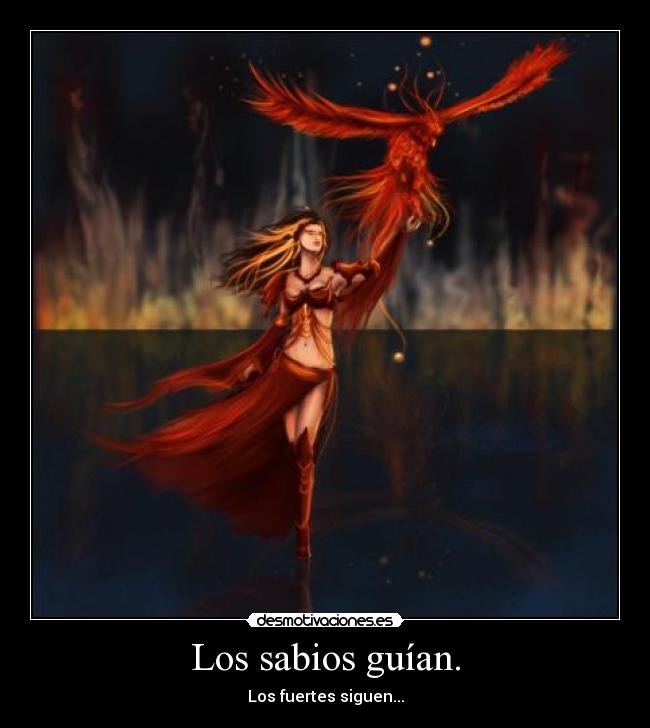 Los sabios guían. -