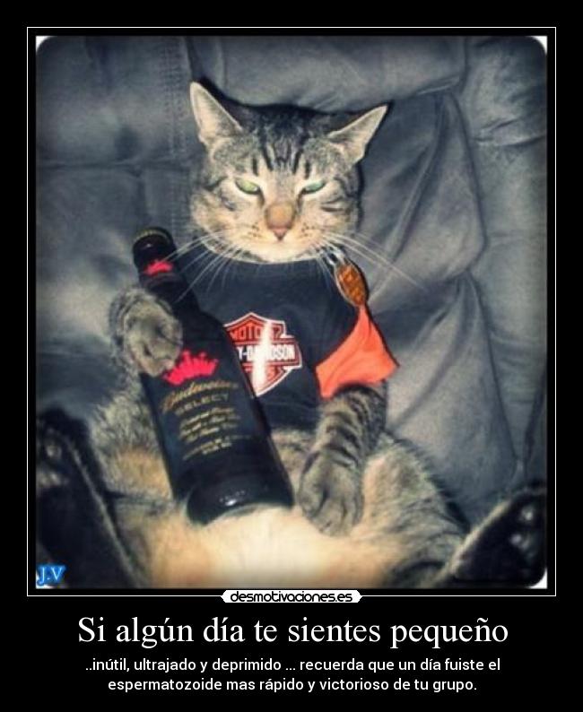 Si algún día te sientes pequeño - ..inútil, ultrajado y deprimido ... recuerda que un día fuiste el
espermatozoide mas rápido y victorioso de tu grupo.