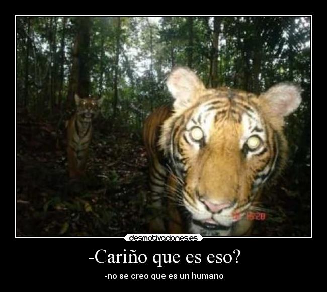 -Cariño que es eso? - -no se creo que es un humano