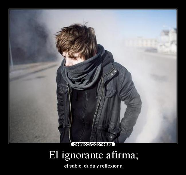 El ignorante afirma; -