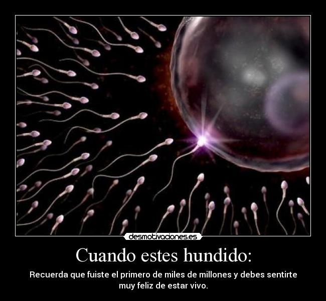 Cuando estes hundido: - Recuerda que fuiste el primero de miles de millones y debes sentirte
muy feliz de estar vivo.