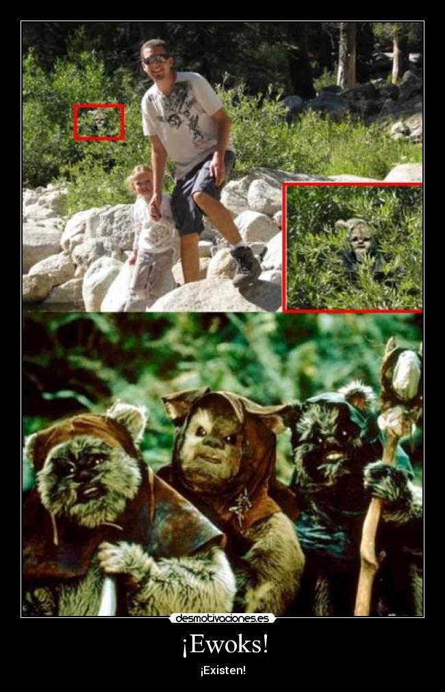 carteles madre tan peluda que unico idioma que habla wookie tomaquetoma desmotivaciones