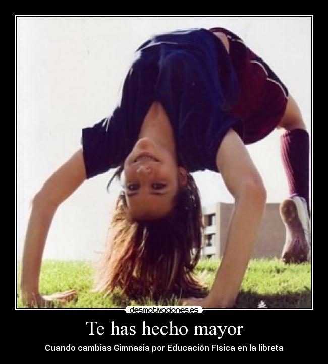 carteles has hecho mayor desmotivaciones