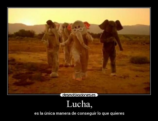 Lucha, -