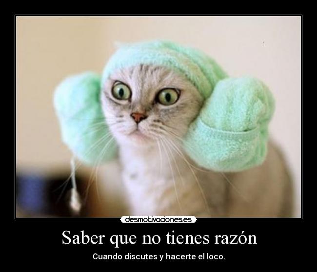 Saber que no tienes razón -