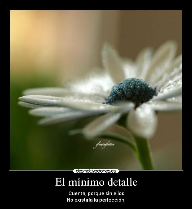El mínimo detalle - 